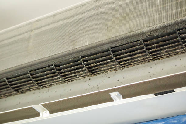 Best Mold and Mildew Removal from Ducts in Alamae, NC